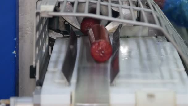 Productie Van Worstjes Salami Een Vleesverwerkende Fabriek — Stockvideo