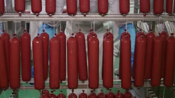 Свежие Колбасы Салями Размещаются Стойках Мясокомбинате — стоковое видео