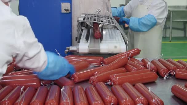 Production Sausages Salami Meat Processing Factory — Stock Video