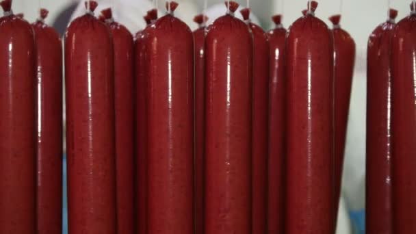 Frischwürste Salami Werden Einer Fleischverarbeitenden Fabrik Auf Regale Gestellt — Stockvideo