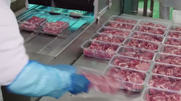 Embalagem Fatias Carne Caixas Uma Correia Transportadora — Vídeo de Stock