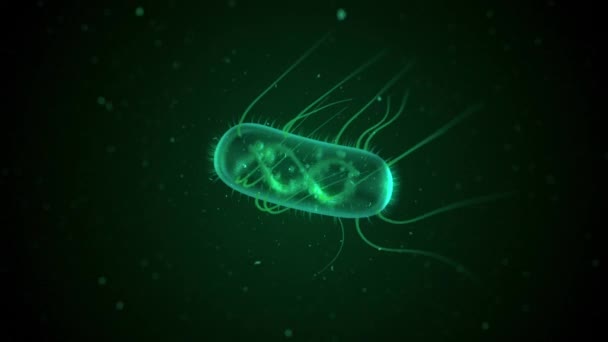 Computador Gerado Coli Bactérias Flutuantes — Vídeo de Stock