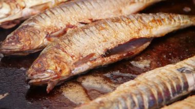 Bir levha tavada danube gölge pişirme Şef