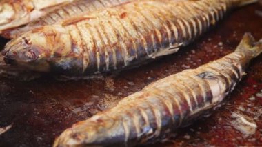 Bir levha tavada danube gölge pişirme Şef