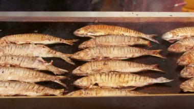 Bir levha tavada danube gölge pişirme Şef