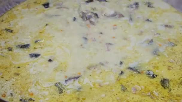 Chef Cooking Storceag Fish Soup Sour Cream Egg Soured Lemon — Stock Video