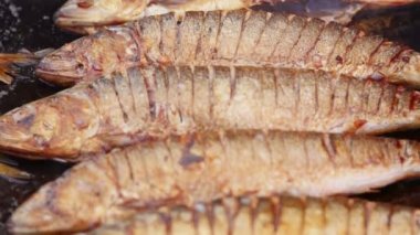 Bir levha tavada danube gölge pişirme Şef