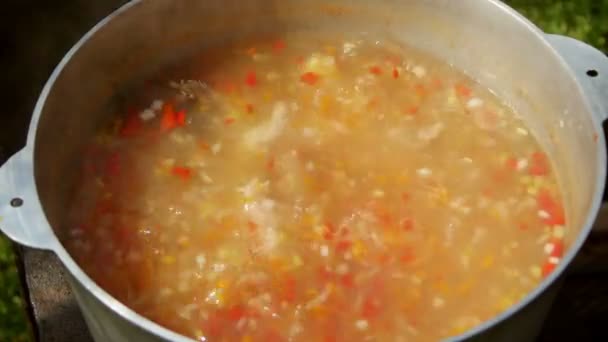 Cuoco Cottura Storceag Una Zuppa Pesce Con Panna Acida Uova — Video Stock