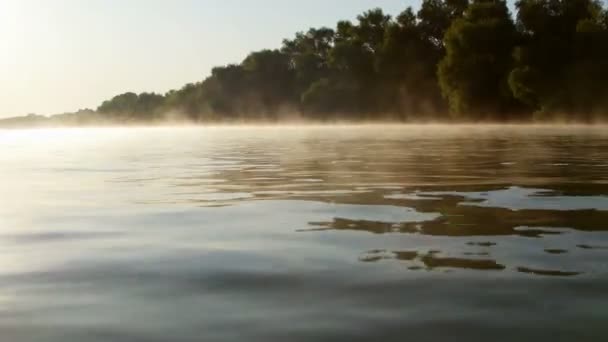 Niebla Matutina Río Danubio — Vídeo de stock