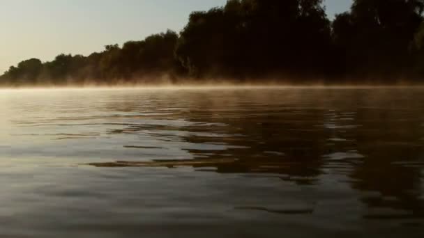 Ранковий Туман Річці Дунай — стокове відео