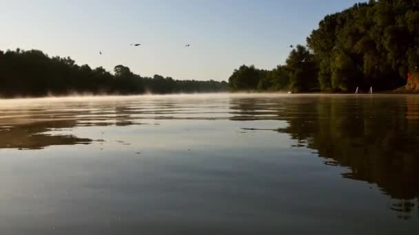 Niebla Matutina Río Danubio — Vídeo de stock
