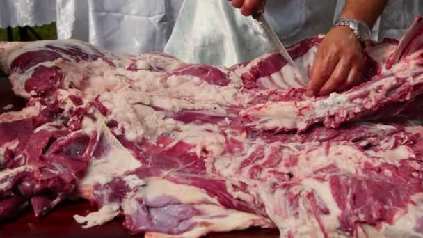 Agricultor Masacrando Cordero Entero Cortando Costillas Cordero Secando Carne — Vídeo de stock