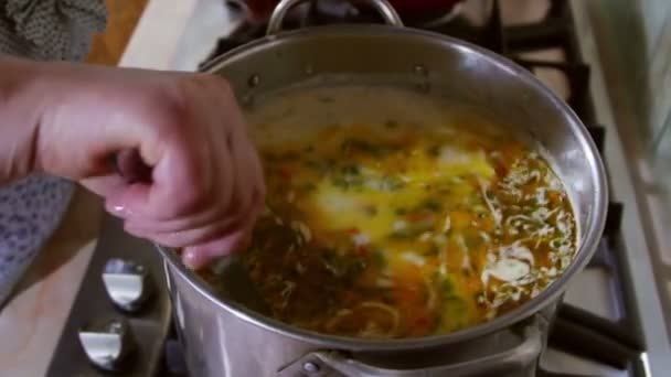 主婦が調理するストーキー レモン汁で酸味のあるクリームと卵と魚のスープ ストルシーグ Storceag ドナウデルタの伝統的な魚汁です — ストック動画