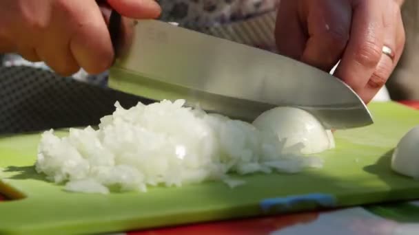 Hausfrau Schneidet Zwiebel Vor Dem Kochen — Stockvideo