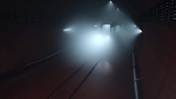 Animatie Van Een Metro Die Een Ondergrondse Tunnel Passeert — Stockvideo