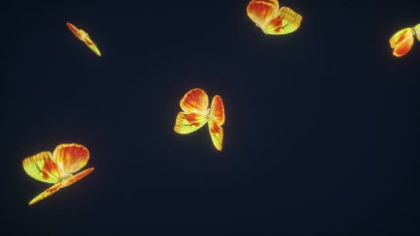 Animation Vacker Fjärilar Bakgrund Loop Able — Stockvideo