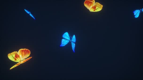 3D美丽蝴蝶背景的动画 可循环播放 — 图库视频影像