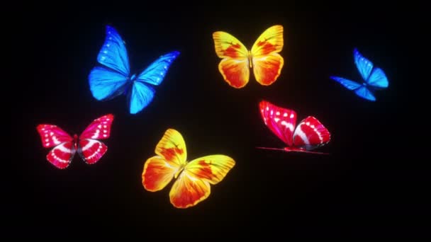3Dアニメーションの美しい蝶の背景 — ストック動画