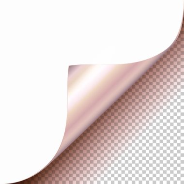 Vektör Platin kıvrılmış parlak folyo köşe, beyaz kağıda gölge alay Isolated kadar yakından ile şeffaf arka plan