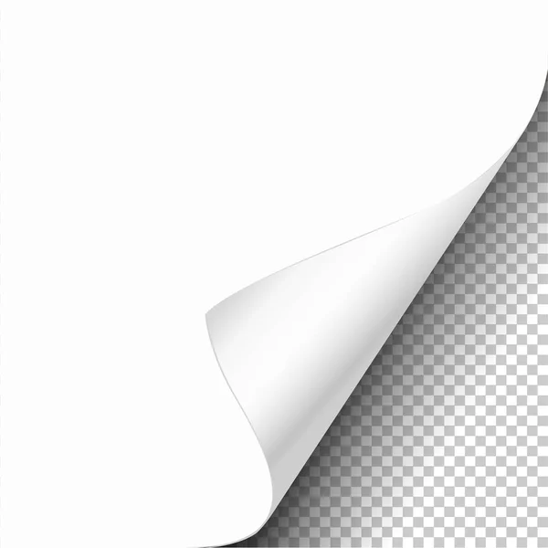 Weißes Papier Gewellte Ecke Mit Reflexion Und Schatten Auf Transparentem — Stockvektor