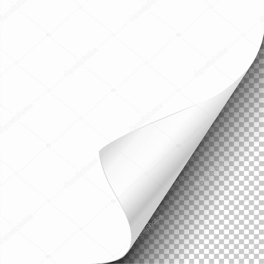 White paper curled corner with reflection and shadow on transparent background realistic vector illustration.