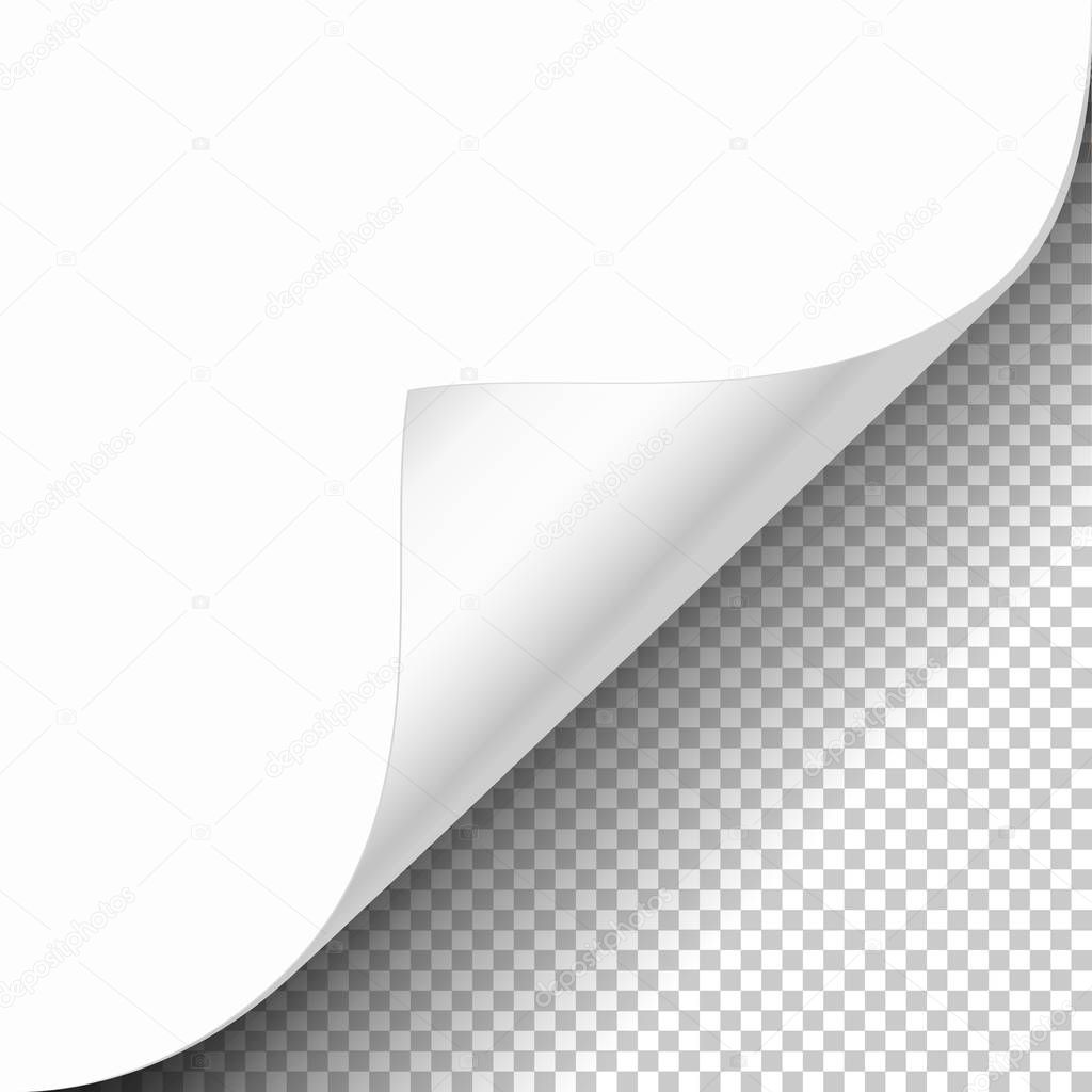 White paper curled corner with reflection and shadow on transparent background realistic vector illustration.