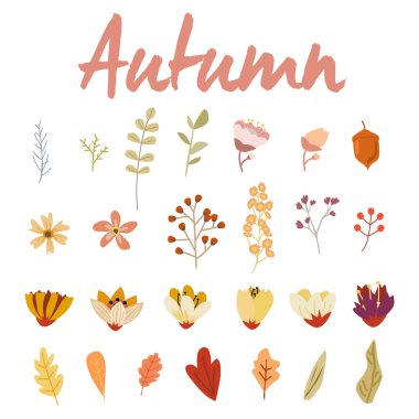 İle mutlu sonbahar sonbahar yaprakları beyaz arka plan üzerinde set.