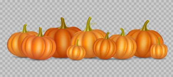 Herfst Oranje Pompoenen Grens Ontwerpsjabloon Voor Banners Thanksgiving Day Achtergronden — Stockvector
