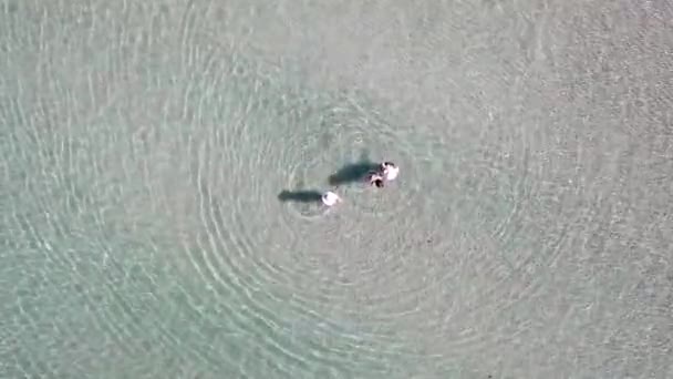 Turkoois helder water, lichtgolven en vrij strand. Mensen zwemmen in kleine groepjes, het strand is gratis. Gele zand, geribbelde bodem. Bovenaanzicht van een drone. Watergradiënt. Thailand, Koh Chang eiland. — Stockvideo