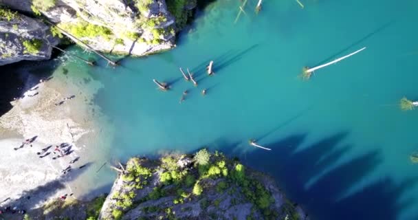 Árvores coníferas sobem de profundidades de lago montês — Vídeo de Stock