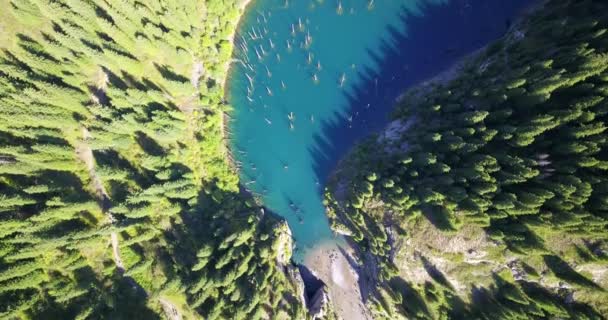 Naaldbomen rijzen op uit de diepte van het bergmeer — Stockvideo