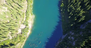 Kozalaklı ağaçlar dağ gölünün derinliklerinden yükseliyor.