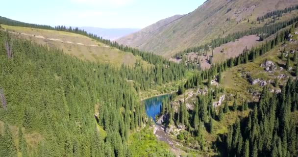 Árboles de coníferas se elevan desde las profundidades del lago de montaña — Vídeo de stock