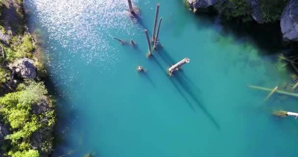 Árboles de coníferas se elevan desde las profundidades del lago de montaña — Vídeos de Stock