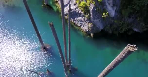 山の湖の底から針葉樹が立ち上がる — ストック動画