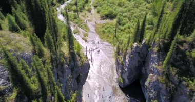 Kozalaklı ağaçlar dağ gölünün derinliklerinden yükseliyor.