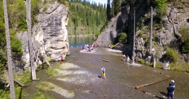 Árboles de coníferas se elevan desde las profundidades del lago de montaña — Vídeo de stock