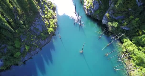 山の湖の底から針葉樹が立ち上がる — ストック動画