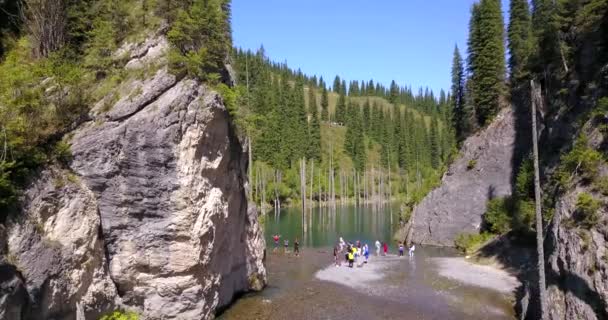 Árboles de coníferas se elevan desde las profundidades del lago de montaña — Vídeo de stock