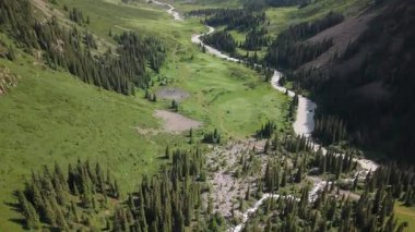Crystal clear water flows down a mountain stream, carving its way through a rocky gorge and surrounded by a dense, lush forest, creating a picturesque natural landscape