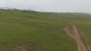Sheep herd wandering along dirt road crossing verdant valley, framed by snow peaked mountain ranges in pristine pastoral landscape