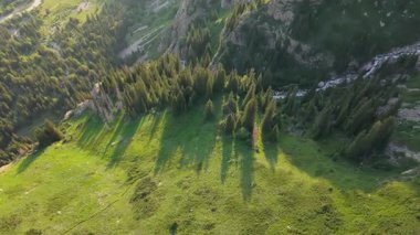 Sıcak güneş ışığı yemyeşil dağ vadisini aydınlatıyor, köşe bucak ağaç gölgelerinin altındaki kıvrımlı yolu ve nehri ortaya çıkarıyor altın saat manzara perspektifi boyunca