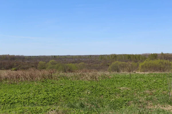 Bahar bataklık alanı tepeden kaldırıldı.