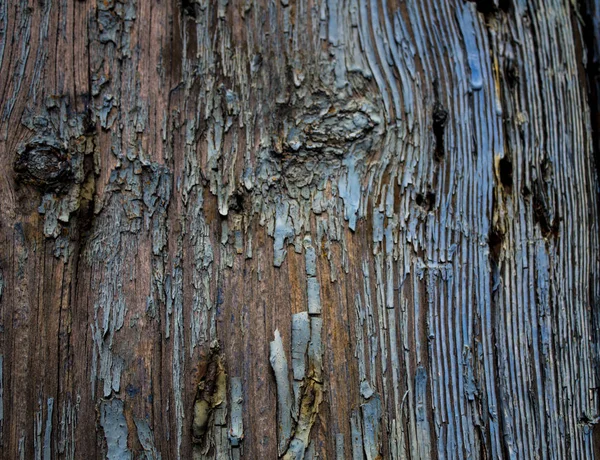 Texture Une Planche Bois Avec Vieille Peinture Fissurée — Photo