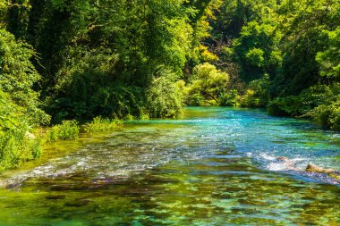Turkuaz mavi göz - Syri bahar ben Kalter, yakın bir kasaba Muzine, Arnavutluk.