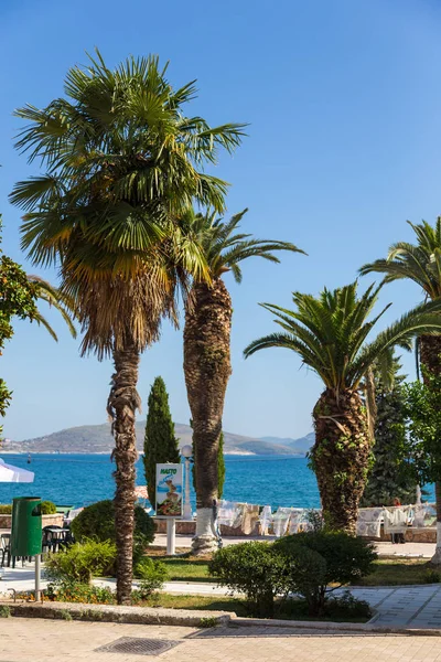 Promenade rue avec palmiers dans la ville de Saranda, Albanie — Photo