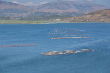Görünümünü Butrint Lagoon, Arnavutluk'ta midye yetiştirme için donatım