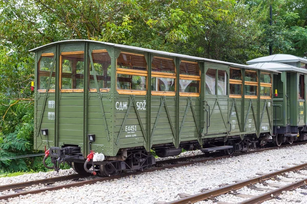 세르비아에서 Mokra 라 산에 역에 오래 된 기차 — 스톡 사진