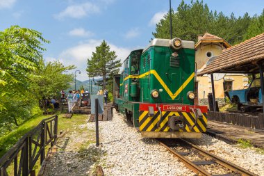 Yeşil lokomotif dar hat demiryolu, Mokra Gora, Sırbistan