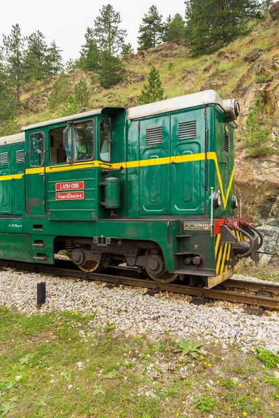 Locomotiva verde ferroviária de bitola estreita, Mokra Gora, Sérvia — Fotografia de Stock